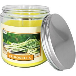 HOMie Διακοσμητικό Κερί σε Βάζο 545gr 57505